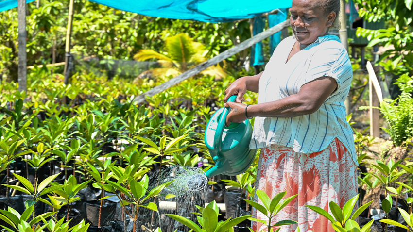 Climate Protection for Malu’u Market Receives Global Attention